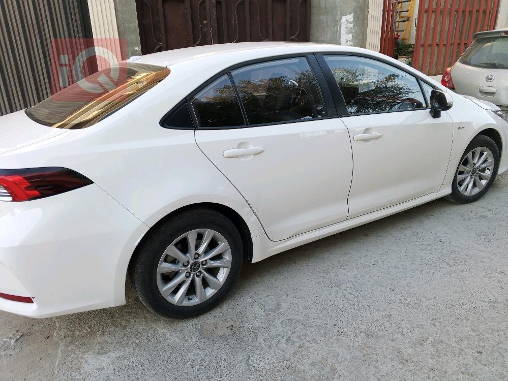 تويوتا كورولا